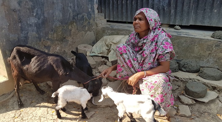 ছাগল–কুকুর বিতর্কে সংঘর্ষ, পালং থানায় পাল্টাপাল্টি অভিযোগ