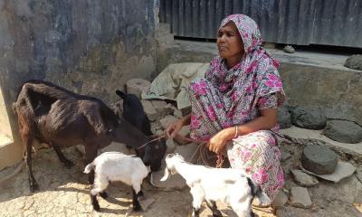 ছাগল–কুকুর বিতর্কে সংঘর্ষ, পালং থানায় পাল্টাপাল্টি অভিযোগ